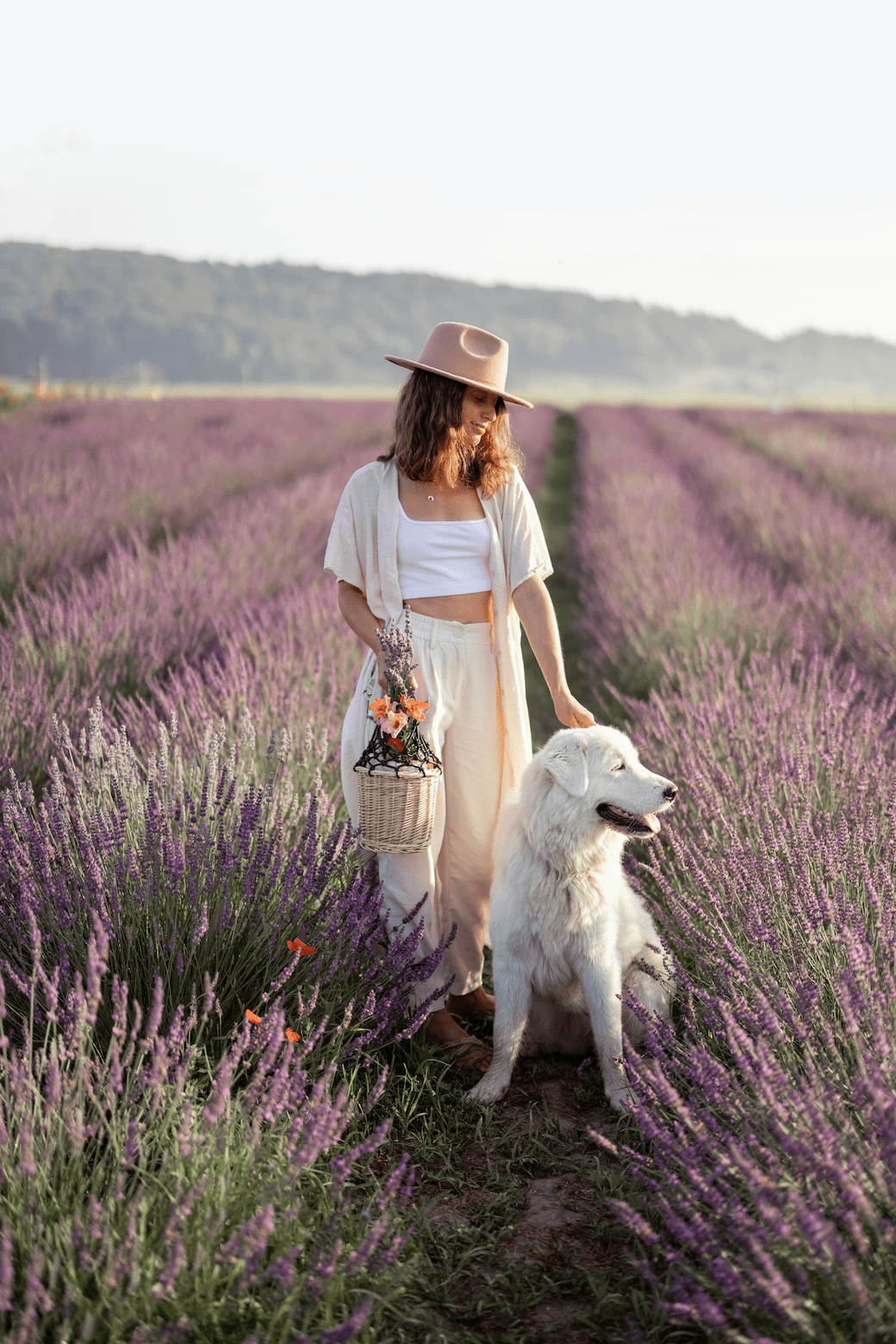 Discover the Soothing Benefits of Lavender for Sleep - Improve Your Sleep Naturally - 8 Elephants by Molly