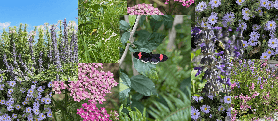 Introducing 8 Elephants by Molly: A New Standard in Epsom Salt for Wellness & Sustainability - 8 Elephants by Molly