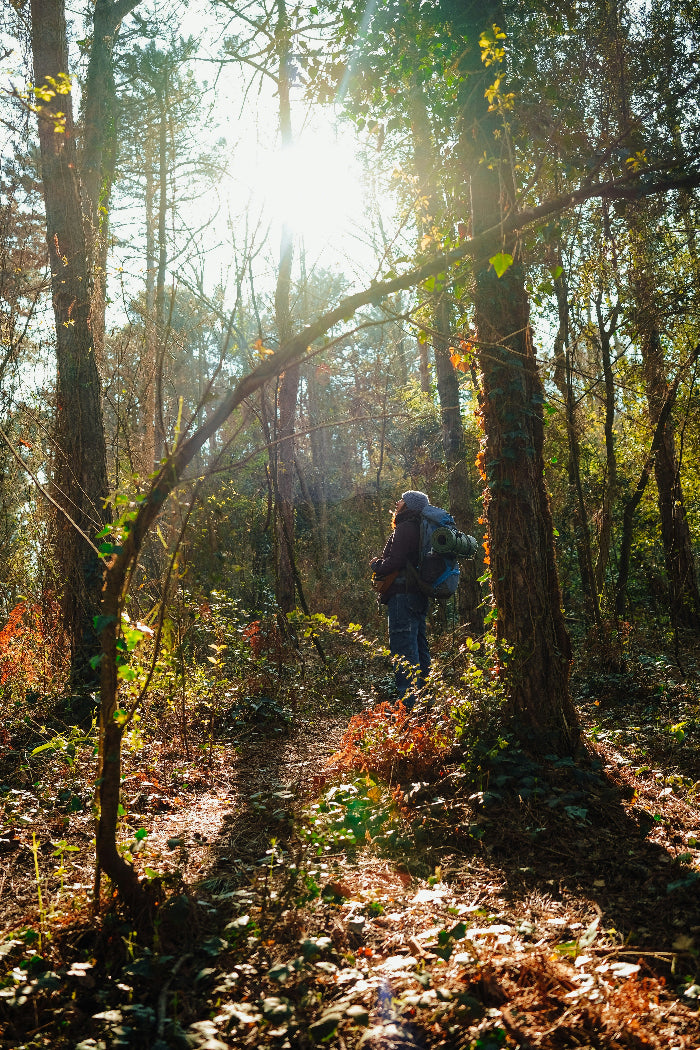 Person walking through a forest with sunlight filtering through the trees