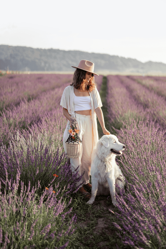 Discover the Soothing Benefits of Lavender for Sleep - Improve Your Sleep Naturally - 8 Elephants by Molly