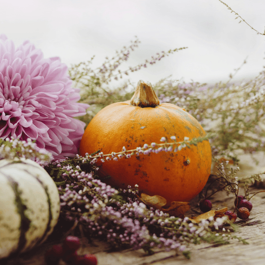 Introducing Our Pumpkin Spice Cozy Season Blend: Fall is Here! - 8 Elephants by Molly