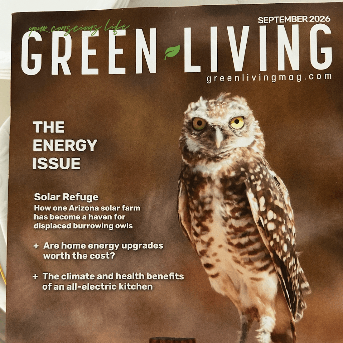 We Made It Into Green Living Magazine And They Got It Exactly Right - 8 Elephants by Molly