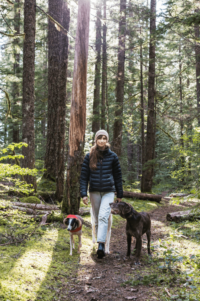 Concentrated Castile Body Wash (Balsam Fir) 2oz - 8 Elephants by Molly