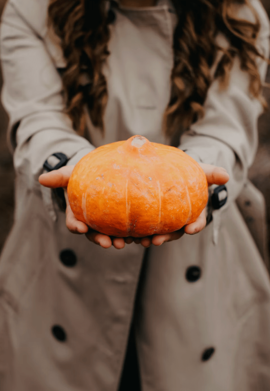 Cozy Season Blend: Pumpkin Spice 1 Pound Pouch - 8 Elephants by Molly