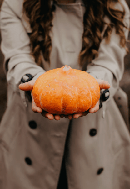 Cozy Season Blend: Pumpkin Spice 1 Pound Pouch - 8 Elephants by Molly