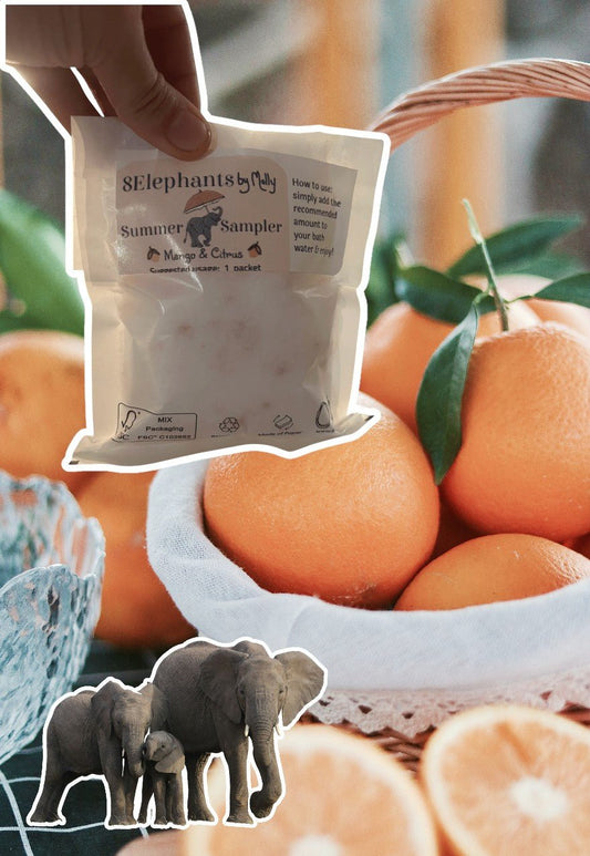Mango & Citrus Mini - 8 Elephants by Molly
