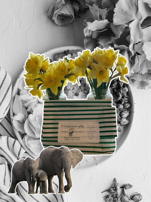 Sample Pack - 8 Elephants by Molly