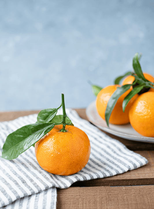 Sweet Orange Organic Sugar Scrub - 8 Elephants by Molly