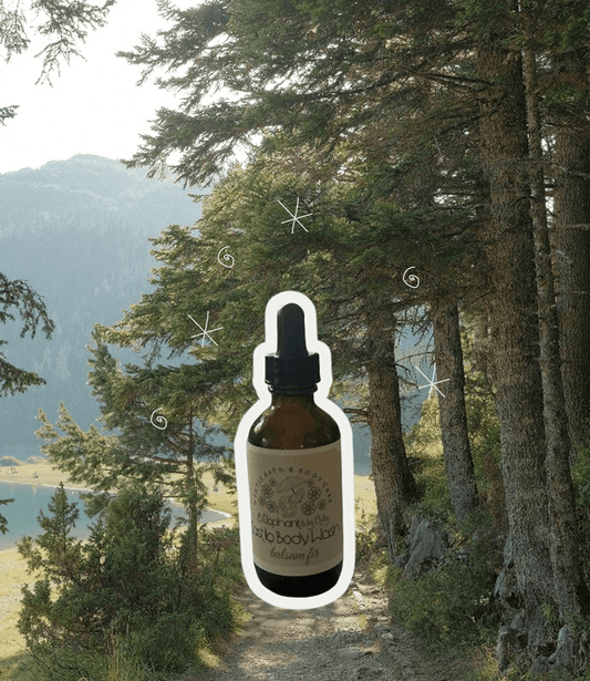 Travel Sized Concentrated Castile Body Wash 2oz (Seasonal) - 8 Elephants by Molly